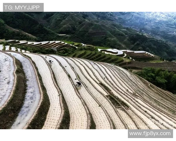 鲁本迪亚斯:从新星崛起到足坛巨星的辉煌历程与未来展望 鲁本迪亚斯:从新星崛起到足坛巨星的辉煌历程与未来展望