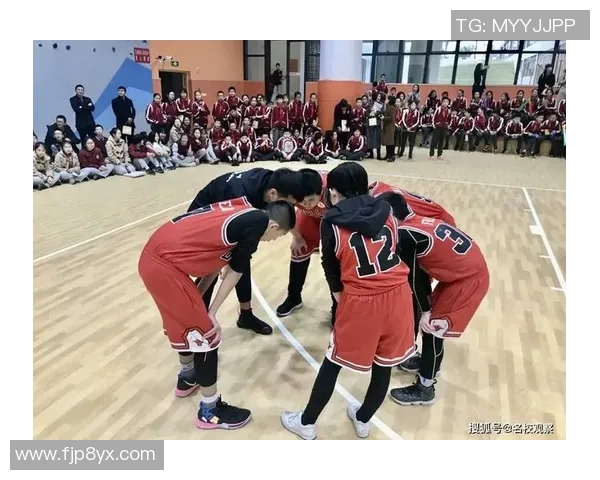 深圳乒乓球队的节奏与魅力探秘:从训练到比赛的全景观察